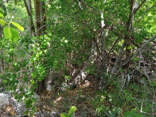 Residential lot For Sale in Rest Haven Bull Bay, Kingston / St. Andrew Jamaica | [5]