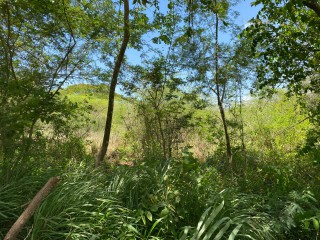 Residential lot For Sale in Bushy Park, St. Catherine, Jamaica