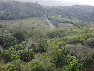 Land For Sale in Retreat, Clarendon Jamaica | [12]