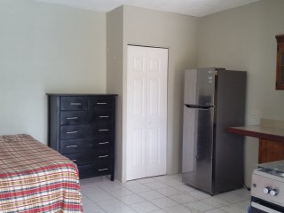 Apartment For Rent in Mona Kgn 6, Kingston / St. Andrew Jamaica | [4]