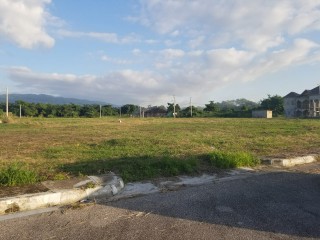 Residential lot For Sale in Paradise, Westmoreland Jamaica | [7]