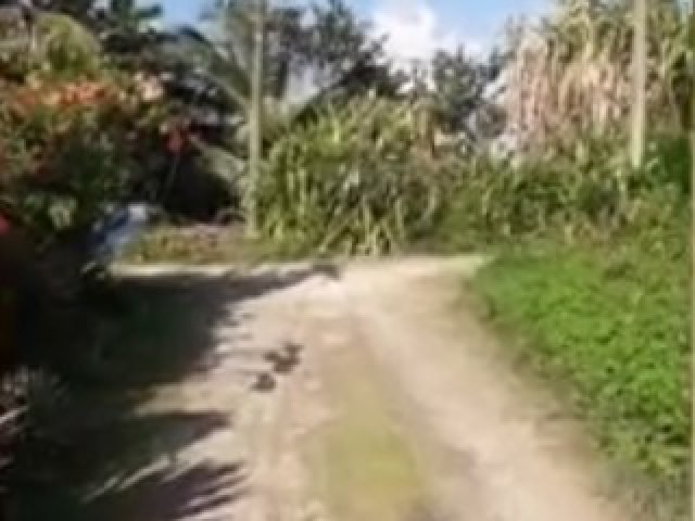 House For Sale in Hope Bay, Portland Jamaica | [2]