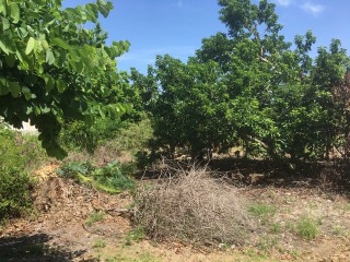 Residential lot For Sale in Vista Del Mar, St. Ann Jamaica | [4]