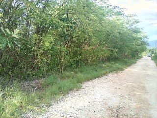Land For Sale in Goshen, St. Elizabeth Jamaica | [3]