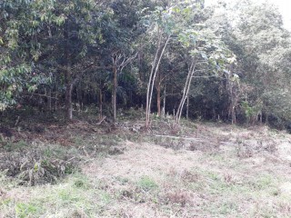 Residential lot For Sale in Ingleside Mandeville, Manchester Jamaica | [4]