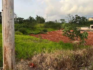 Land For Sale in Dalys Grove Knockpatrick, Manchester Jamaica | [2]