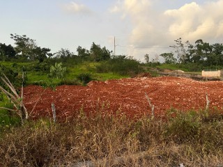 Land For Sale - Dalys Grove Knockpatrick, Manchester, Jamaica