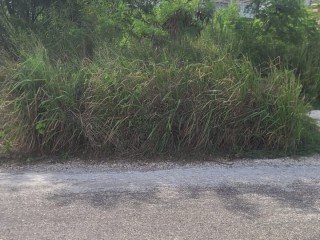 Residential lot For Sale in West Gate Hill Montego Bay, St. James, Jamaica
