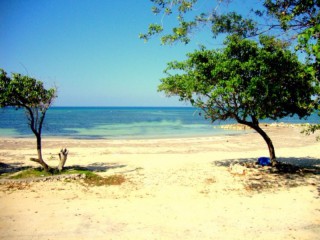 Apartment For Sale in SEA CASTLE, St. James Jamaica | [7]