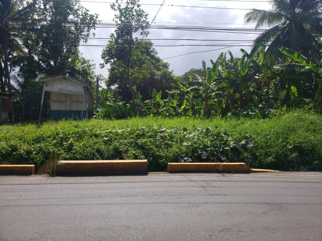 Residential lot For Sale in Santa Cruz, St. Elizabeth Jamaica | [3]