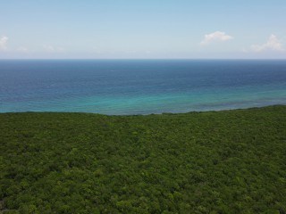 Land For Sale in Duncans, Trelawny, Jamaica