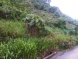 Residential lot For Sale in Hidden Valley near Smokey Vale, Kingston / St. Andrew Jamaica | [4]