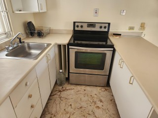 Apartment For Rent in East Kings House Rd, Kingston / St. Andrew Jamaica | [7]