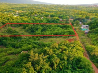 Land For Sale in Nain, St. Elizabeth, Jamaica