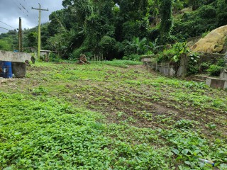 Residential lot For Sale in Cedar Grove, St. Thomas Jamaica | [10]