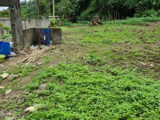 Residential lot For Sale in Cedar Grove, St. Thomas Jamaica | [6]