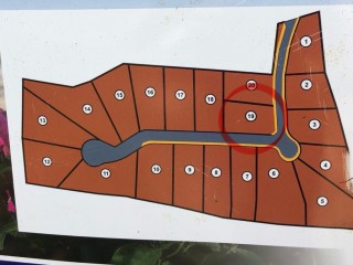 Land For Sale in Dalys Grove Knockpatrick, Manchester Jamaica | [8]