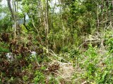 Residential lot For Sale in Red Hills, Kingston / St. Andrew Jamaica | [7]