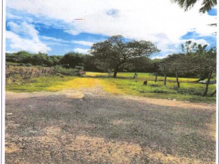 Residential lot For Sale in Elim District, St. Elizabeth, Jamaica