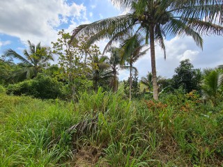 Commercial/farm land For Sale in Bog Walk, St. Catherine, Jamaica