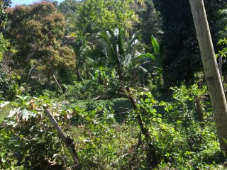 Residential lot For Sale in Evergreen near Mile Gully Manchester, Manchester Jamaica | [4]
