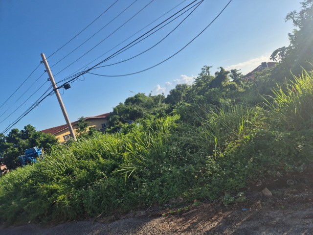 Residential lot For Sale in Tower Isle, St. Mary Jamaica | [3]