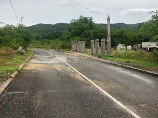 Residential lot For Sale in lacovia, St. Elizabeth, Jamaica