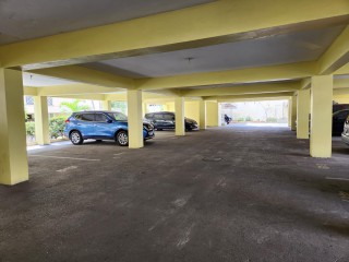 Apartment For Rent in New Kingston, Kingston / St. Andrew Jamaica | [11]