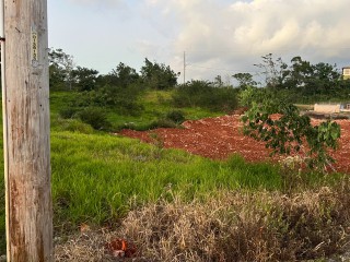 Land For Sale in Dalys Grove Knockpatrick, Manchester Jamaica | [6]
