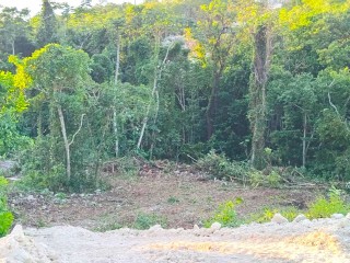 Land For Sale in Lot 525 Orchard Gardens Gated, Hanover Jamaica | [4]