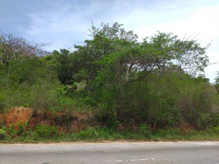 Commercial land For Sale in Spur Tree, Manchester Jamaica | [2]