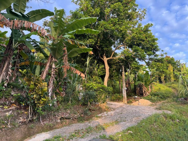 Residential lot For Sale in May Pen, Clarendon Jamaica | [1]