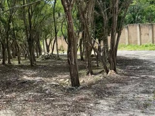 Land For Sale in Montego Bay, St. James Jamaica | [4]