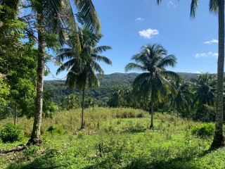 Land For Sale in Guys Hill, St. Mary, Jamaica