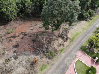 Residential lot For Sale in Pioria, Manchester Jamaica | [4]