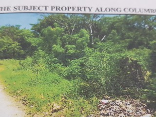Residential lot For Sale in Spring Valley Tower Isle, St. Mary, Jamaica