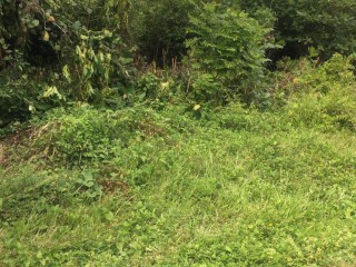 Residential lot For Sale in ST MARGARETS BAY, Portland Jamaica | [1]