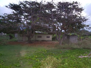 House For Sale in Muirton Pen, Portland Jamaica | [3]