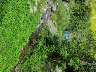 Land For Sale in Cedar Valley  St Thomas, St. Thomas Jamaica | [9]