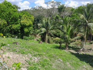 House For Sale in BogwalkLinstead Bypass, St. Catherine Jamaica | [6]