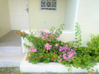 Apartment For Rent in KINGSTON 8, Kingston / St. Andrew Jamaica | [4]