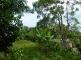 Residential lot For Sale in Moneague, St. Ann Jamaica | [3]
