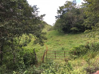 Residential lot For Sale in Chippenham Park Bamboo, St. Ann Jamaica | [13]