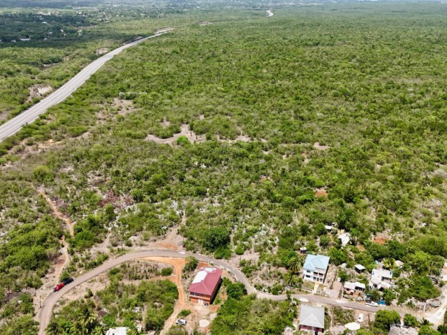 Commercial land For Sale in Palmers Cross, Clarendon Jamaica | [1]