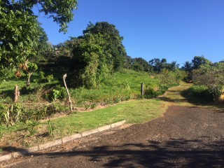 Residential lot For Sale in Mandeville, Manchester Jamaica | [8]
