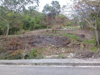 Residential lot For Sale in Montego Bay St James, St. James Jamaica | [4]