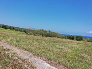 Land For Sale in Plantation Village, St. Ann Jamaica | [5]