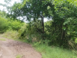 Residential lot For Sale in Clarendon, Clarendon Jamaica | [6]