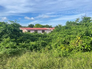 Residential lot For Sale in Galina, St. Mary Jamaica | [3]