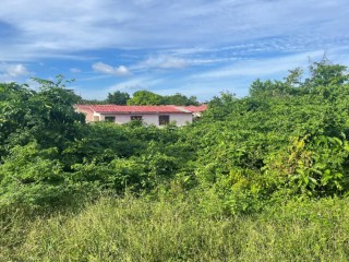 Residential lot For Sale in Galina, St. Mary, Jamaica